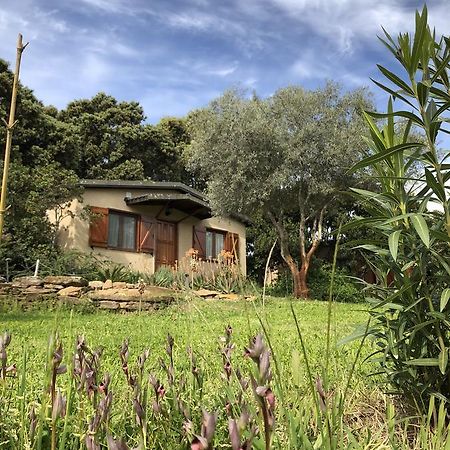 La Cerca Del Alcornoque Pension Casas de Belvis Buitenkant foto