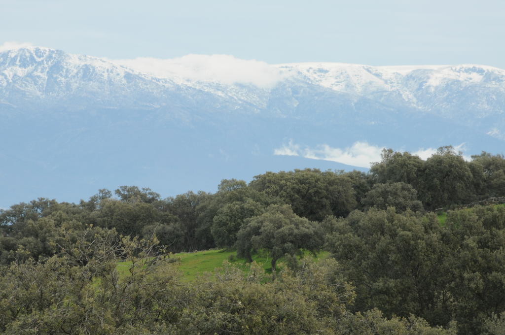 La Cerca Del Alcornoque Pension Casas de Belvis Buitenkant foto