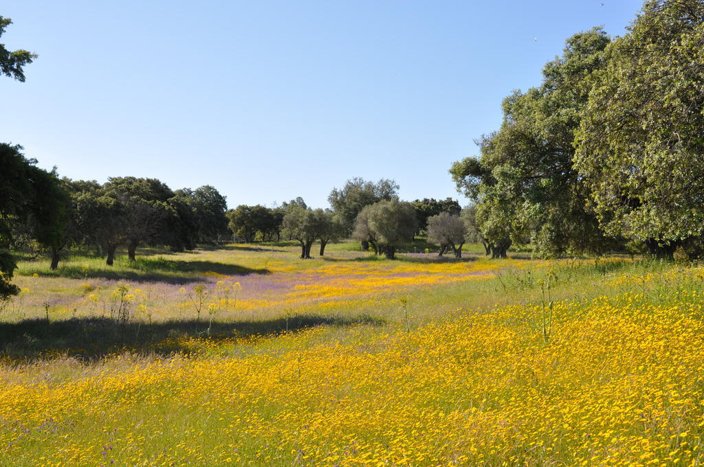 La Cerca Del Alcornoque Pension Casas de Belvis Buitenkant foto