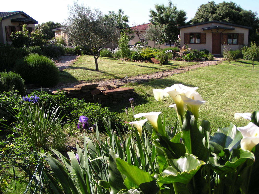 La Cerca Del Alcornoque Pension Casas de Belvis Buitenkant foto