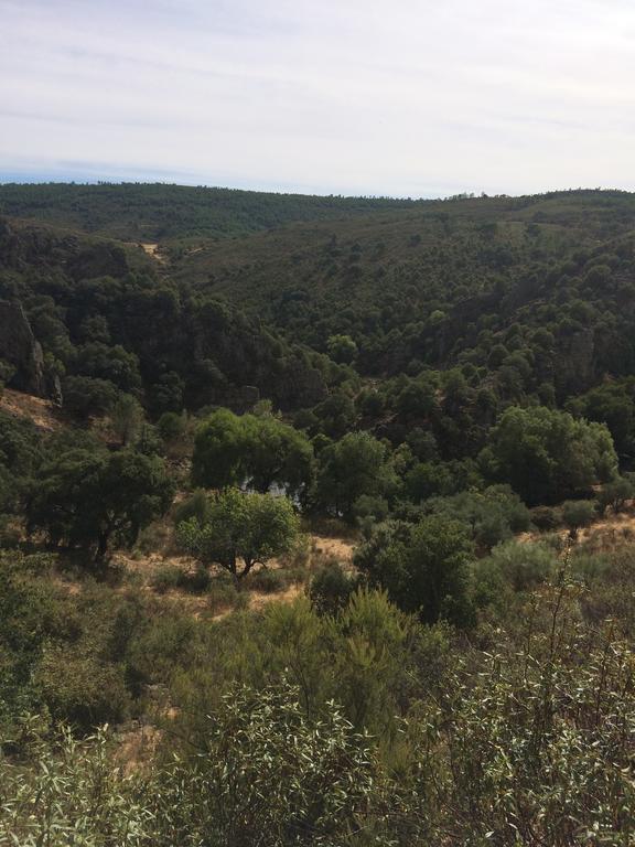La Cerca Del Alcornoque Pension Casas de Belvis Buitenkant foto