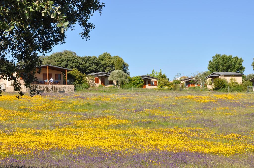 La Cerca Del Alcornoque Pension Casas de Belvis Buitenkant foto