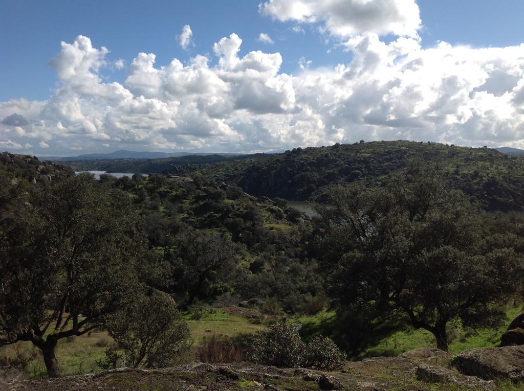 La Cerca Del Alcornoque Pension Casas de Belvis Buitenkant foto