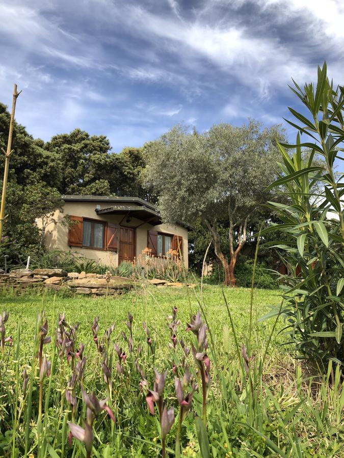 La Cerca Del Alcornoque Pension Casas de Belvis Buitenkant foto