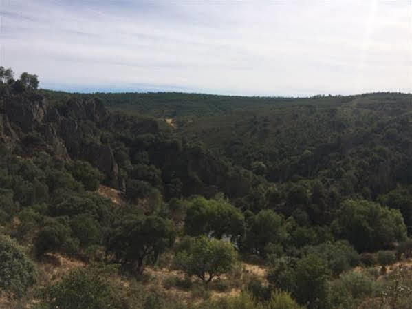 La Cerca Del Alcornoque Pension Casas de Belvis Buitenkant foto